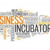 Are Startup Incubators Right for You?