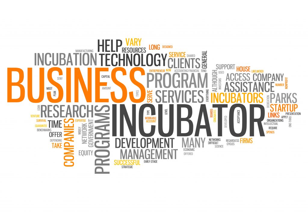 Are Startup Incubators Right for You?