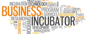 Are Startup Incubators Right for You?